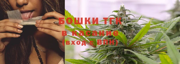 сатива Мегион