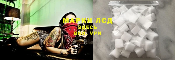 сатива Мегион