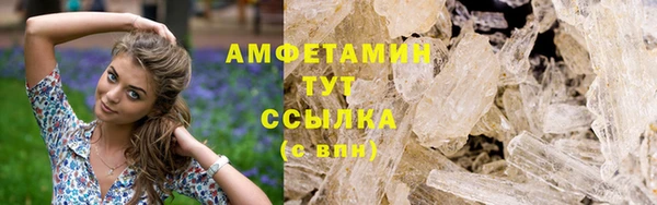 трава Бикин