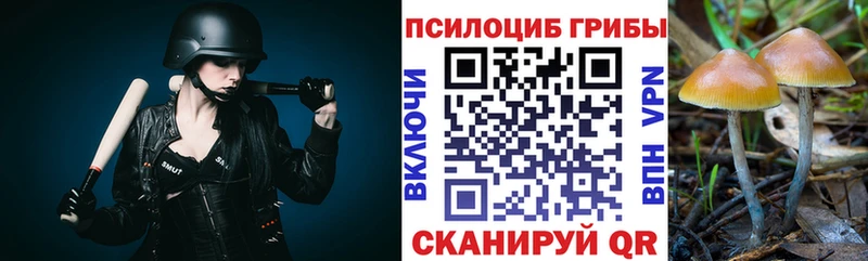 Галлюциногенные грибы GOLDEN TEACHER  Черемхово 